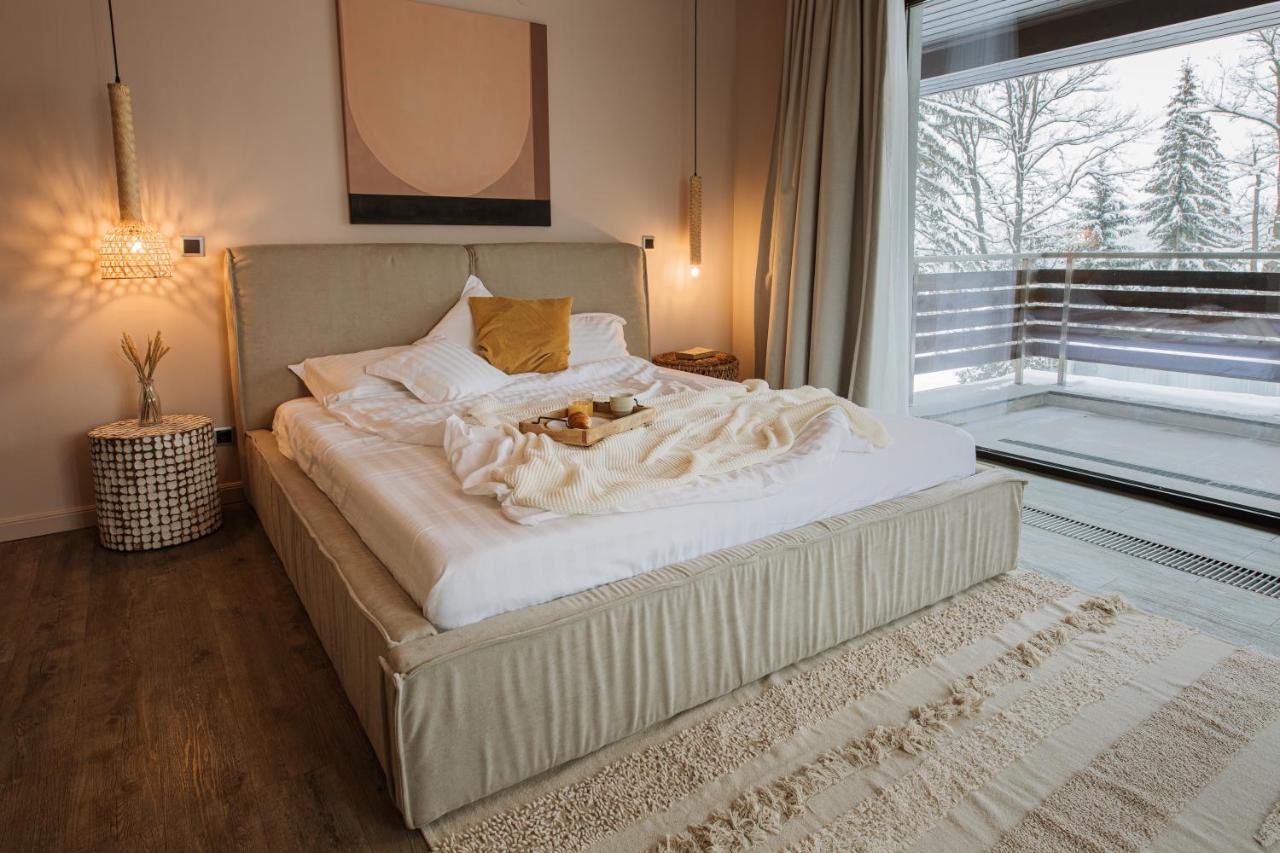 Silver Pine Apartment بويانا براسوف المظهر الخارجي الصورة