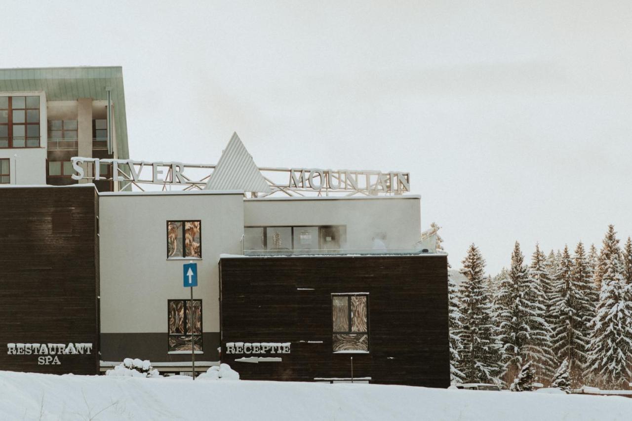 Silver Pine Apartment بويانا براسوف المظهر الخارجي الصورة