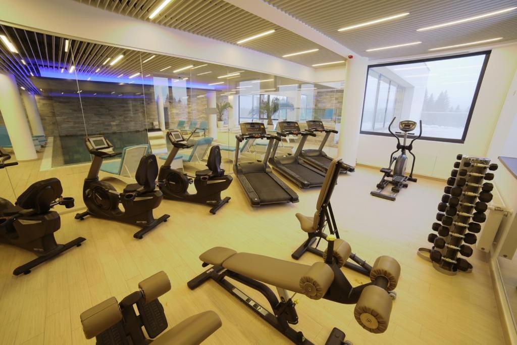 Silver Pine Apartment بويانا براسوف المظهر الخارجي الصورة